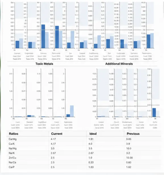 Sample Hair Mineral Analysis report
